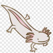 cute axolotl